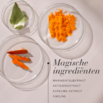Ingrediënten zoals mariadistel, artisjok en kurkuma in schaaltjes met tekst magische ingrediënten.