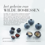 Tekstafbeelding over het verschil tussen wilde bosbessen en Amerikaanse bosbessen, met uitleg over hun eigenschappen en voordelen.