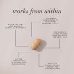 Benefits of the ingredients in Hair Volume™ Post Menopause tablets, including that vitamin B6 contributes to regulating hormone activity.