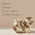 Ingredients of Multi Mushroom™ displayed, including reishi, chaga, lion’s mane, and golden oyster mushrooms.