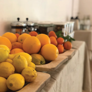 Herbal Schools 29 Various fruits displayed together, showing different colors, shapes, and types.