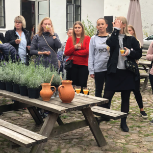 Herbal Schools 30 People attending a herbal school event, learning about and engaging with plants.
