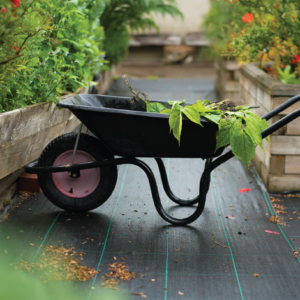Herbal Schools 36 Wheelbarrow with plants.