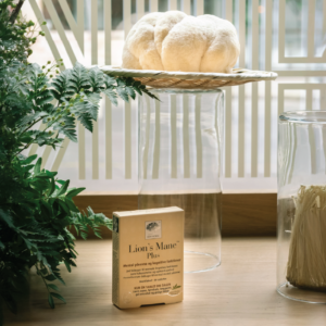 Herbal Schools 12 New Nordic Lion’s Mane Plus™ product displayed at the herbal school event.