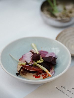 De helende kracht van de natuur – New Nordic-persevenement in Restaurant De kas 6 NEW_NORDIC_AMSTERDAM